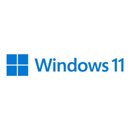 MS Windows Pro FPP 11 64-bit Polish 1 License USB Flash Drive