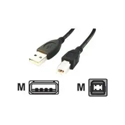 GEMBIRD CCP-USB2-AMBM-10 Gembird AM-BM kabel USB 2.0 3M czarny Niklowane końce