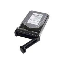 DELL 2.4TB 10K RPM Self-Encrypting SAS 12Gbps 512e 2.5inch Hot-plug Hard Drive FIPS SED140 SED CK