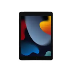APPLE iPad 10.2inch Cell. 256GB Gray A13 Bionic Chip Retina Display