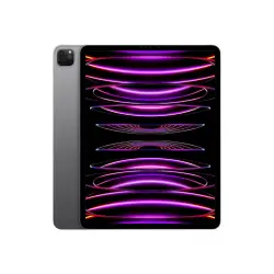APPLE iPad Pro 12.9inch 2TB WiFi Gray M2 Chip Liquid Retina Display 2.732x2.048 pixel 264 ppi