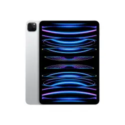 APPLE iPad Pro 11.0inch 2TB WiFi Silver M2 Chip Liquid Retina Display 2.388x1.668 pixel 264 ppi