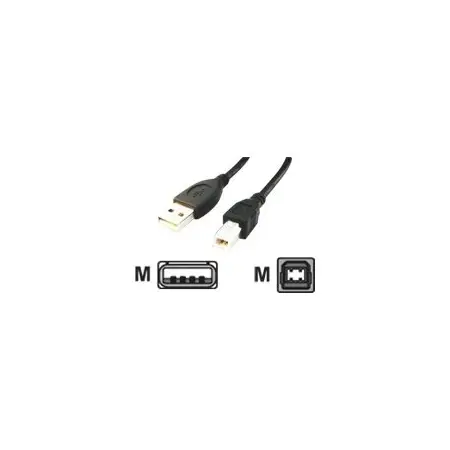 GEMBIRD CCP-USB2-AMBM-10 Gembird AM-BM kabel USB 2.0 3M czarny Niklowane końce