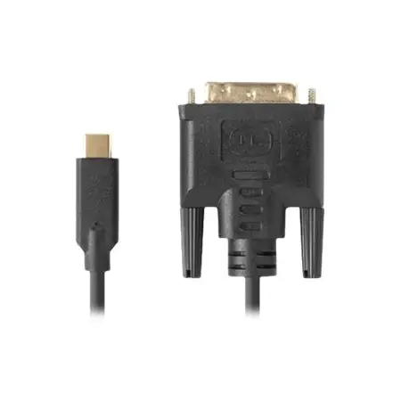 LANBERG Kabel USB-C M ->DVI-D 24+1 M 3m czarny